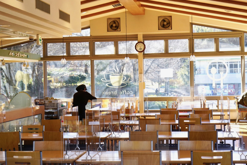 靜岡親子一日遊_尋找富士山,日本平登山,搭小丸子彩繪列車,大吃靜岡美食