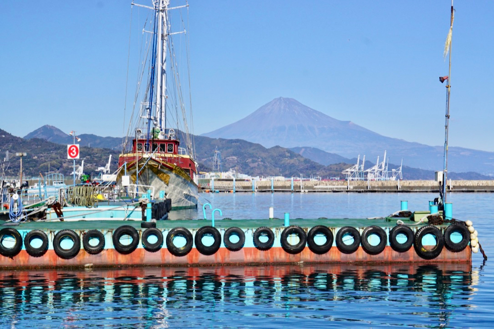 靜岡親子一日遊_尋找富士山,日本平登山,搭小丸子彩繪列車,大吃靜岡美食