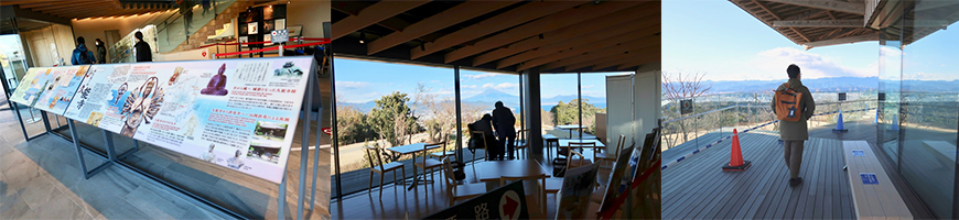 靜岡親子一日遊_尋找富士山,日本平登山,搭小丸子彩繪列車,大吃靜岡美食