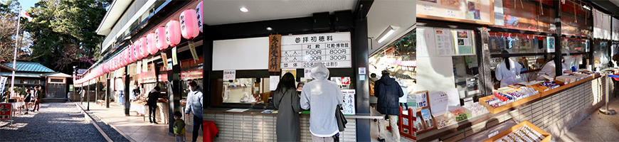 靜岡親子一日遊_尋找富士山,日本平登山,搭小丸子彩繪列車,大吃靜岡美食