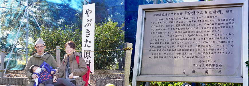 靜岡親子一日遊_尋找富士山,日本平登山,搭小丸子彩繪列車,大吃靜岡美食