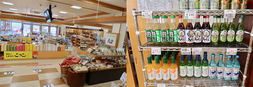 靜岡親子一日遊_尋找富士山,日本平登山,搭小丸子彩繪列車,大吃靜岡美食