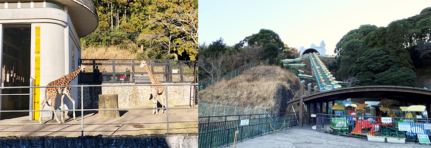 靜岡親子一日遊_尋找富士山,日本平登山,搭小丸子彩繪列車,大吃靜岡美食