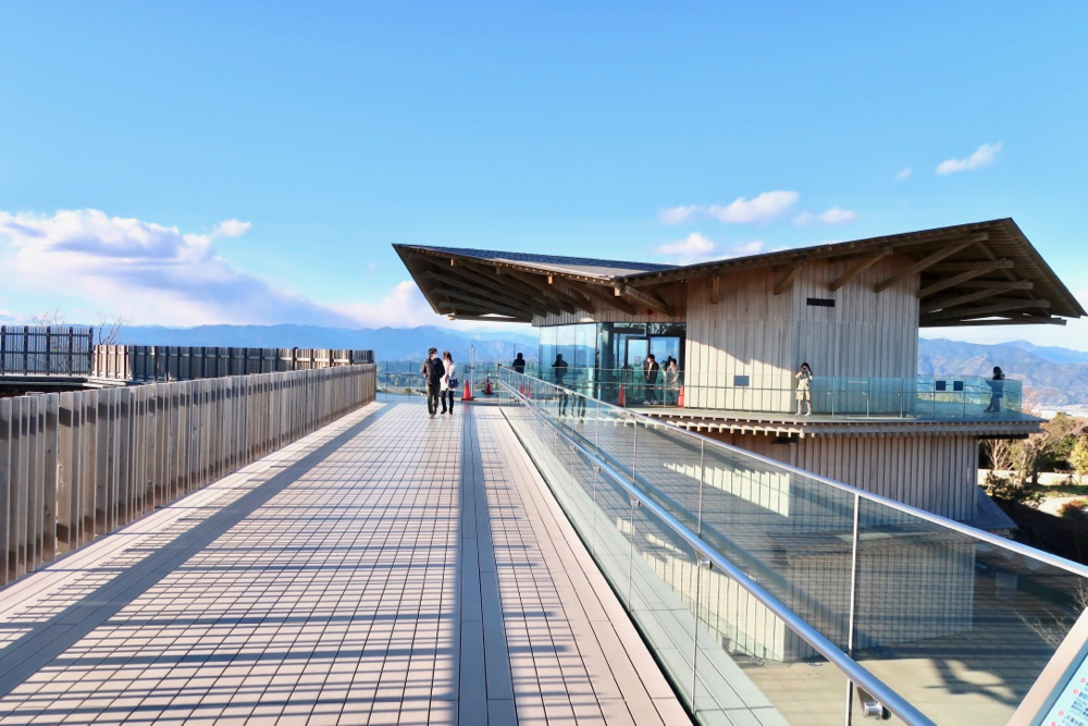 靜岡親子一日遊_尋找富士山,日本平登山,搭小丸子彩繪列車,大吃靜岡美食