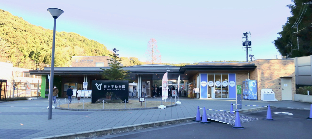 靜岡親子一日遊_尋找富士山,日本平登山,搭小丸子彩繪列車,大吃靜岡美食