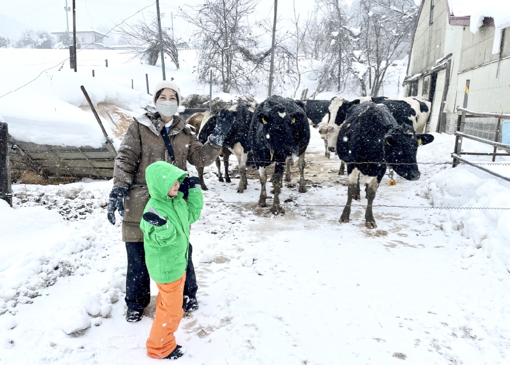 前進山形上山溫泉的夢幻雪世界,體驗親手做雪屋以及絕景樹冰散步