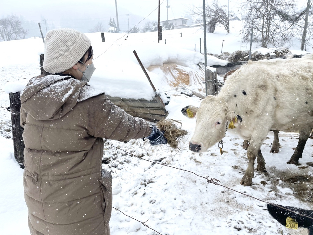 前進山形上山溫泉的夢幻雪世界,體驗親手做雪屋以及絕景樹冰散步