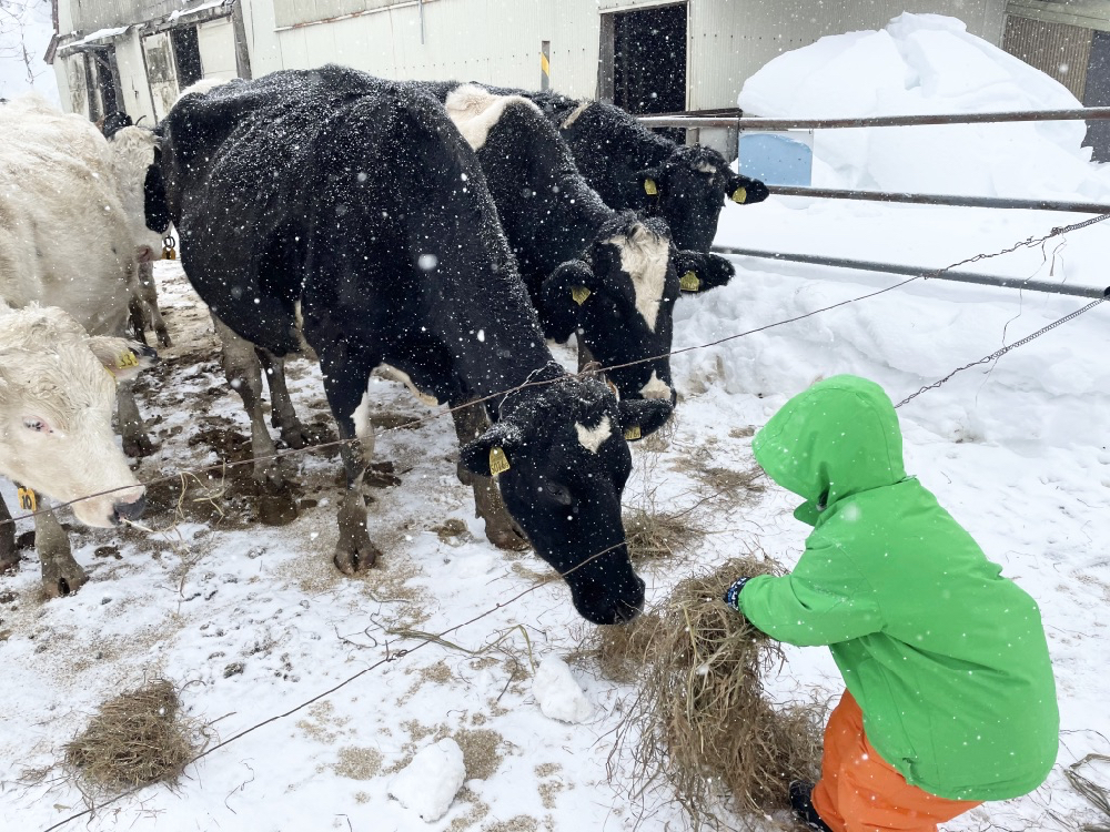 前進山形上山溫泉的夢幻雪世界,體驗親手做雪屋以及絕景樹冰散步