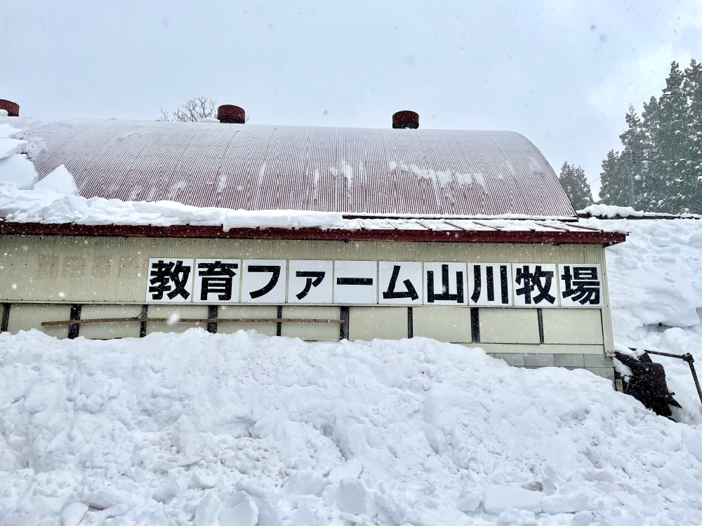 前進山形上山溫泉的夢幻雪世界,體驗親手做雪屋以及絕景樹冰散步