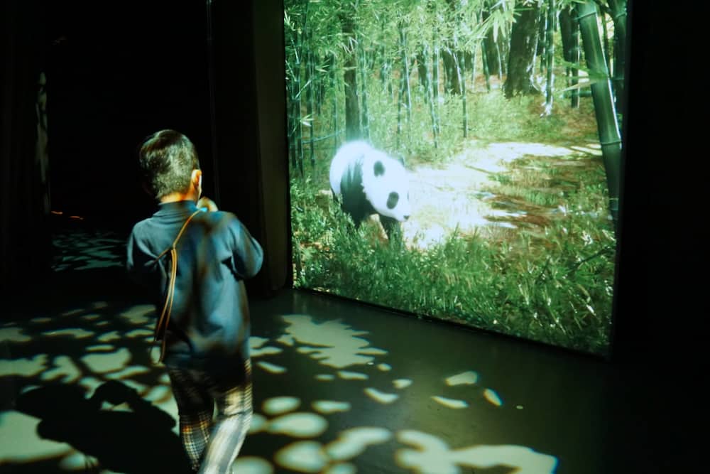 2023東京銀座親子旅行程!帶小孩到「東急PLAZA銀座」盡情玩耍大吃美食