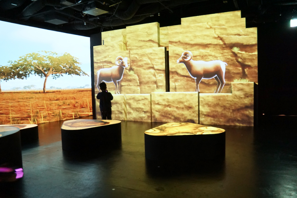 2023東京銀座親子旅行程!帶小孩到「東急PLAZA銀座」盡情玩耍大吃美食