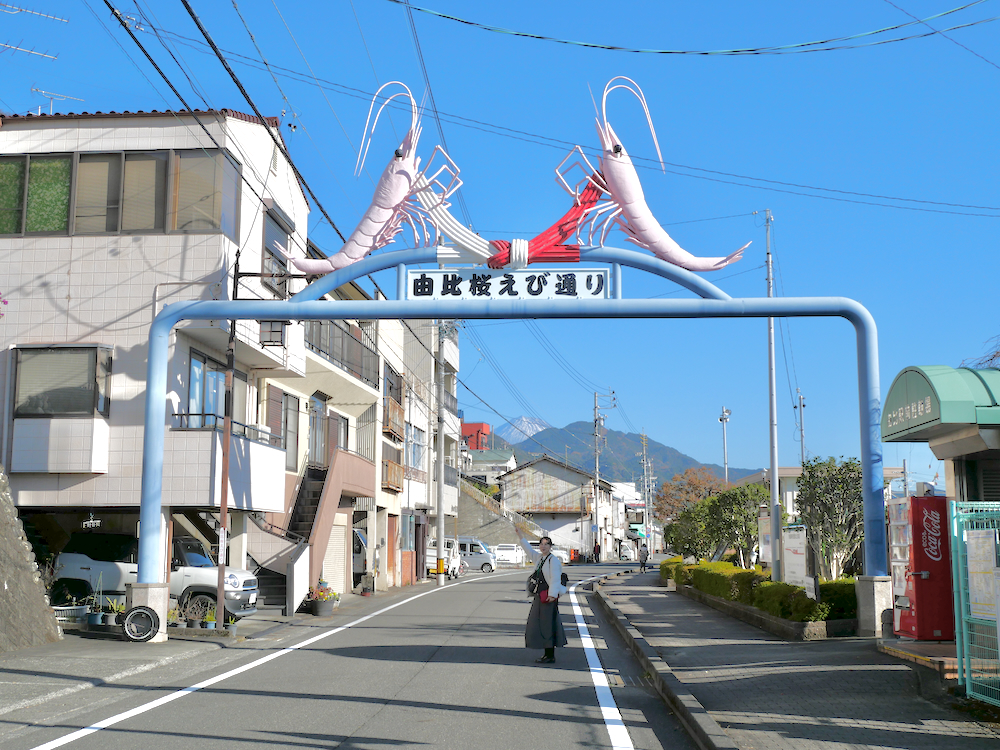 靜岡清水港太好玩了啦!騎腳踏車賞富士山、學捏壽司、大吃櫻花蝦、搭船拜訪三保松原絕景