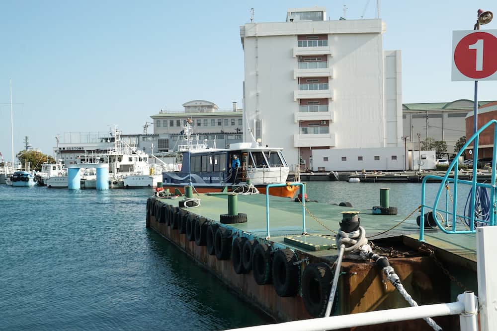 靜岡清水港太好玩了啦!騎腳踏車賞富士山、學捏壽司、大吃櫻花蝦、搭船拜訪三保松原絕景