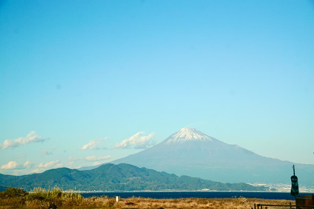 靜岡清水港太好玩了啦!騎腳踏車賞富士山、學捏壽司、大吃櫻花蝦、搭船拜訪三保松原絕景