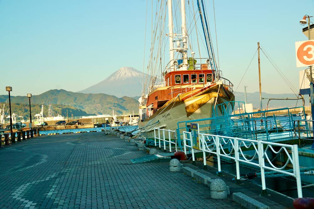靜岡清水港太好玩了啦!騎腳踏車賞富士山、學捏壽司、大吃櫻花蝦、搭船拜訪三保松原絕景