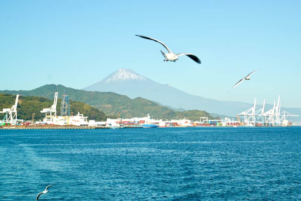 靜岡清水港太好玩了啦!騎腳踏車賞富士山、學捏壽司、大吃櫻花蝦、搭船拜訪三保松原絕景