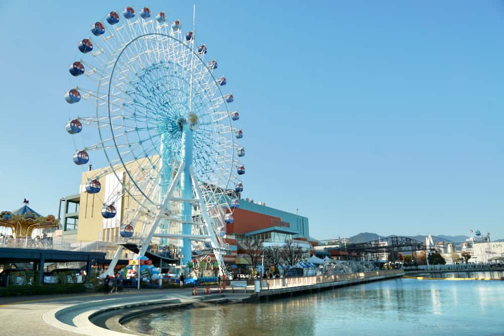 靜岡清水港太好玩了啦!騎腳踏車賞富士山、學捏壽司、大吃櫻花蝦、搭船拜訪三保松原絕景