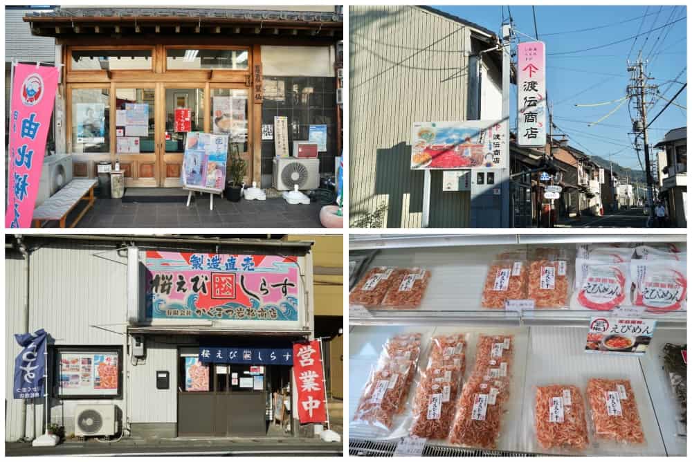 靜岡清水港太好玩了啦!騎腳踏車賞富士山、學捏壽司、大吃櫻花蝦、搭船拜訪三保松原絕景