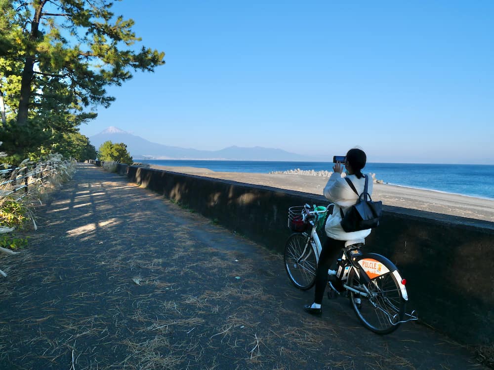 靜岡清水港太好玩了啦!騎腳踏車賞富士山、學捏壽司、大吃櫻花蝦、搭船拜訪三保松原絕景