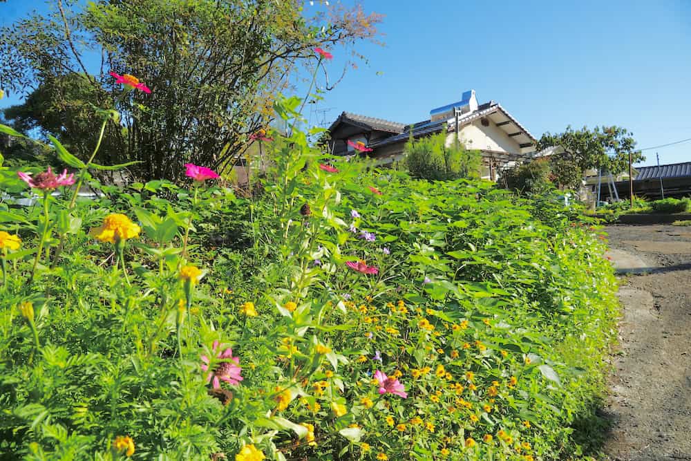 【藥草之都熊本玉名身心靈之旅】到能量滿點的熊本玉名市體驗心願成就打坐冥想x藥草咖啡店x溫泉和極美味素食料理