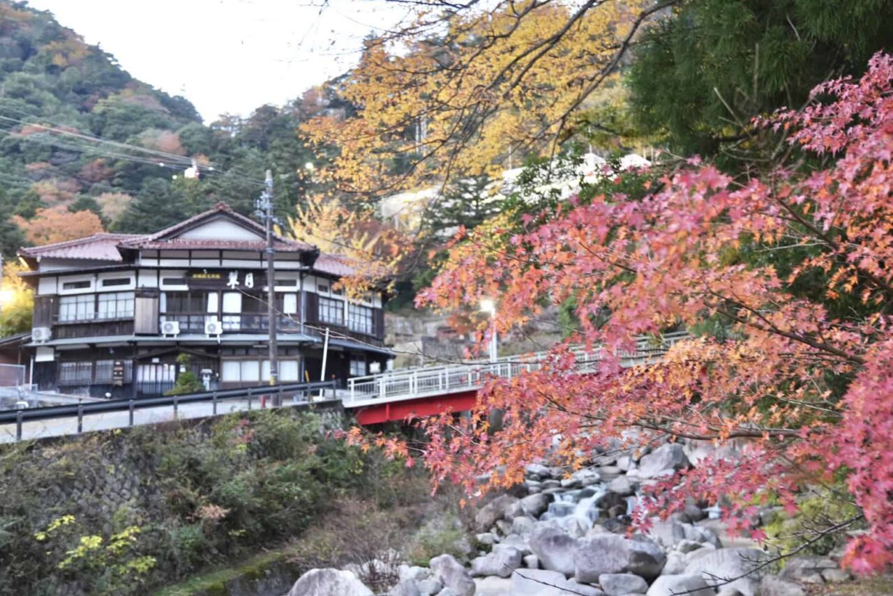 到三重菰野町體驗無敵浪漫天燈散步,在森林和超美味溫泉飯店裡療癒身心