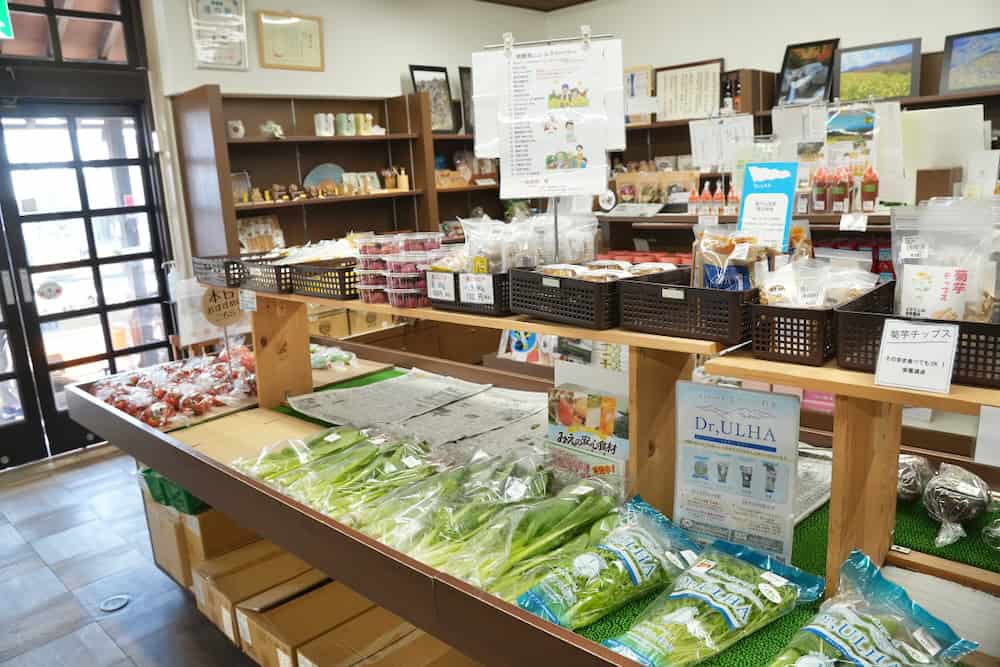 到三重菰野町體驗無敵浪漫天燈散步,在森林和超美味溫泉飯店裡療癒身心